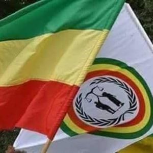 Meet your Posher, Sissay